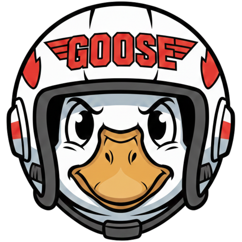 Screenshot of Goose